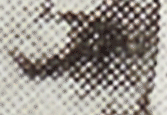 Henri Devred