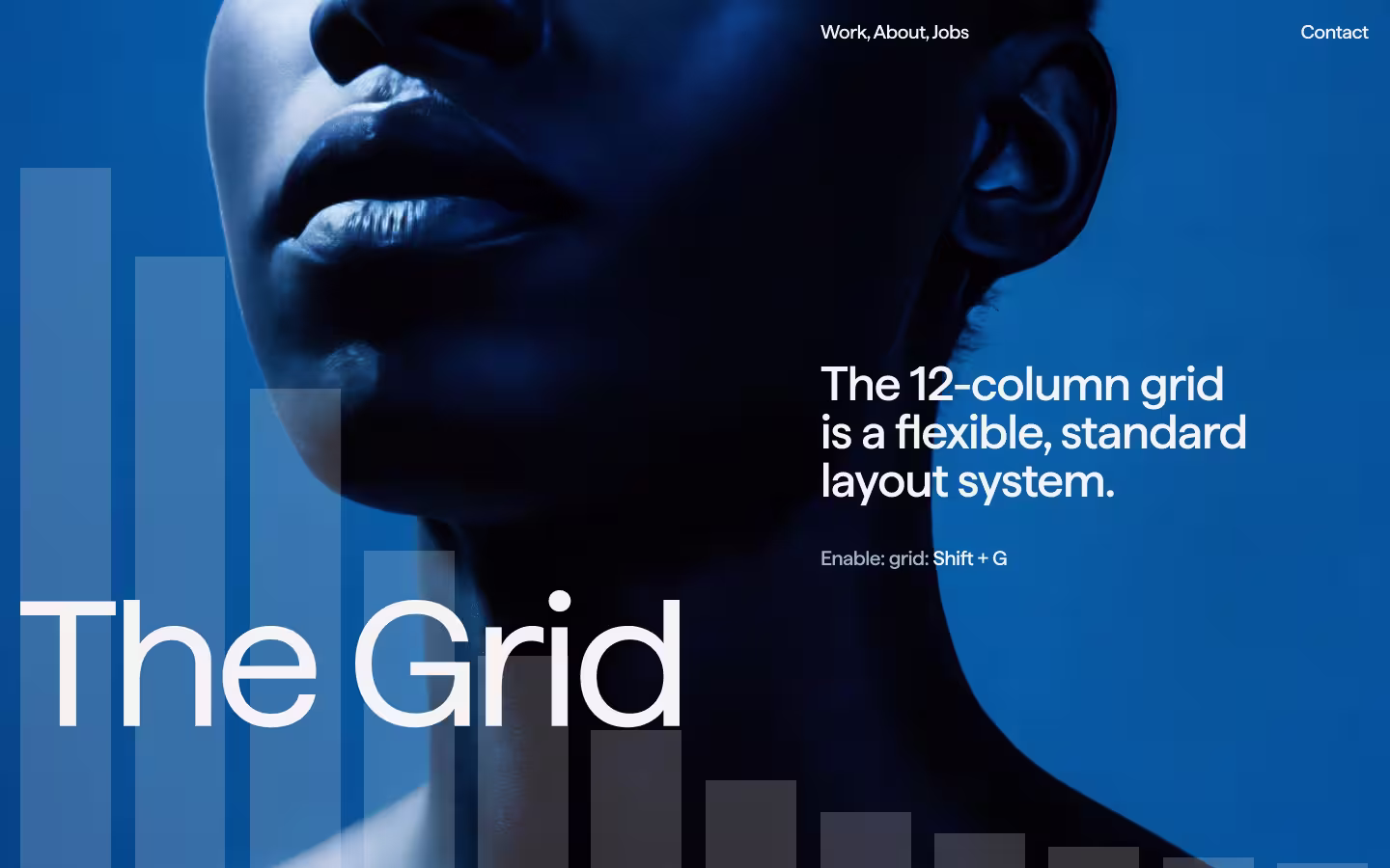 Animated Grid Overlay (Columns)